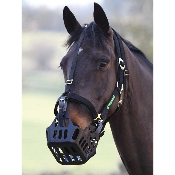 GreenGuard Grazing Muzzle